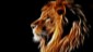 Creative-design-light-lion-mane-black-background_1920x1200